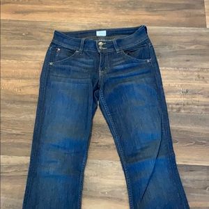 Hudson Bootcut Jeans